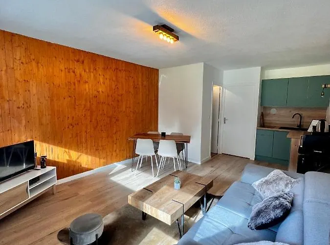 Appartement 6 Personnes Aux Pieds Des Pistes
